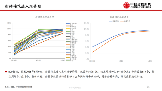 【(💐)棉花纺谈】供应端阶段性缩量 疆棉基差坚挺